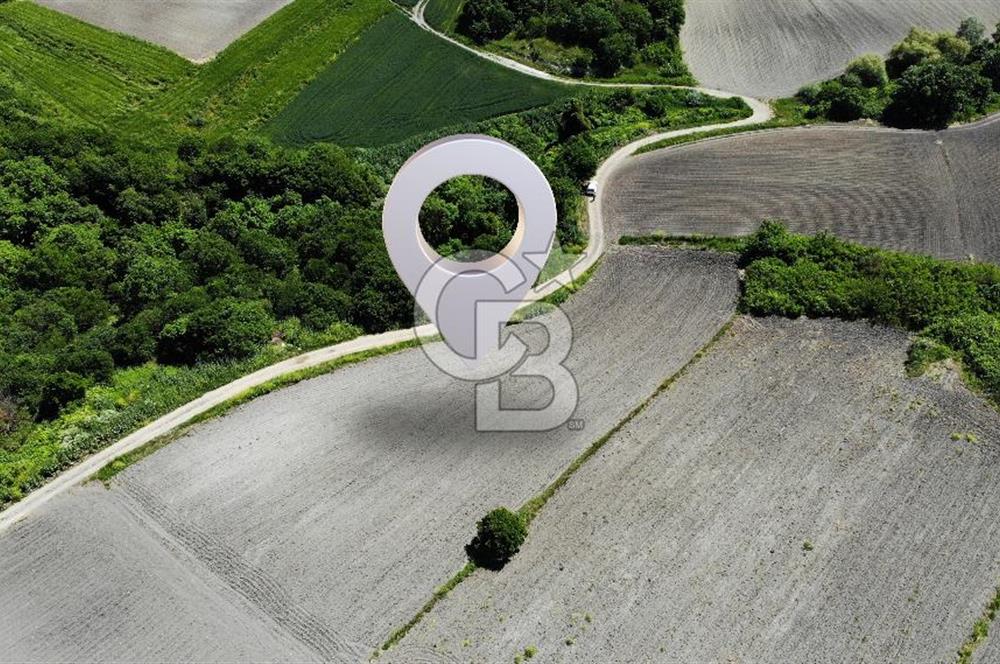 TEKNOSAB ve TOSAB'a Komşu! Badırga'da 2.875 m² Fırsat Tarla