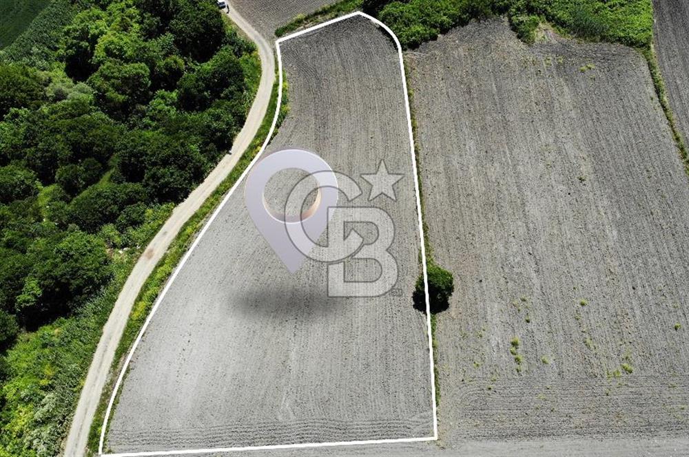 TEKNOSAB ve TOSAB'a Komşu! Badırga'da 2.875 m² Fırsat Tarla