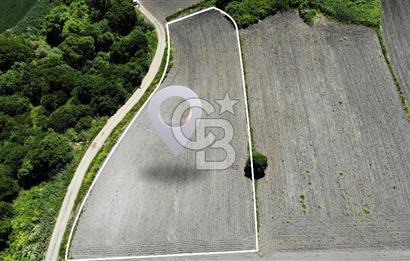 TEKNOSAB ve TOSAB'a Komşu! Badırga'da 2.875 m² Fırsat Tarla