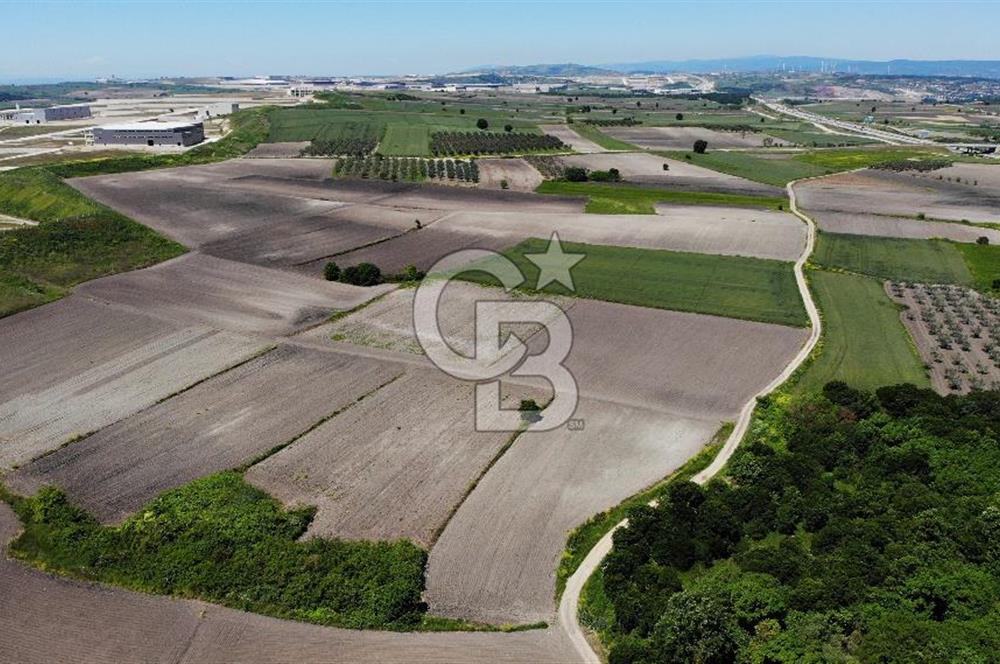 TEKNOSAB ve TOSAB'a Komşu! Badırga'da 2.875 m² Fırsat Tarla
