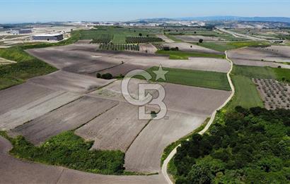 TEKNOSAB ve TOSAB'a Komşu! Badırga'da 2.875 m² Fırsat Tarla