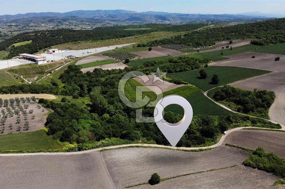 TEKNOSAB ve TOSAB'a Komşu! Badırga'da 2.875 m² Fırsat Tarla