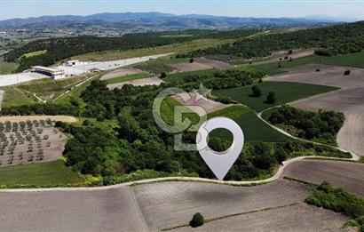 TEKNOSAB ve TOSAB'a Komşu! Badırga'da 2.875 m² Fırsat Tarla