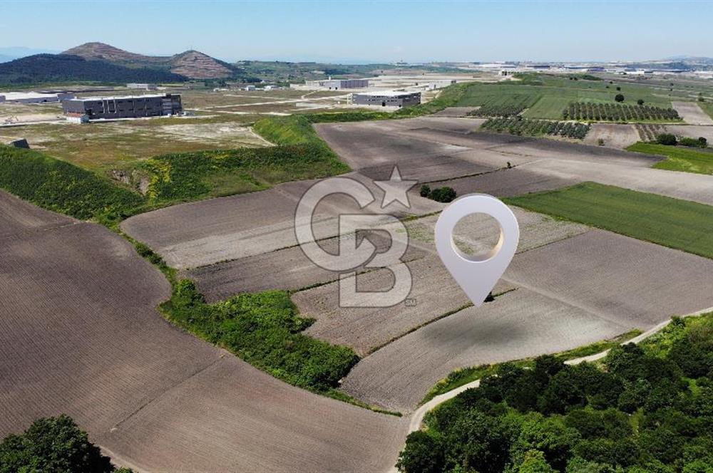 TEKNOSAB ve TOSAB'a Komşu! Badırga'da 2.875 m² Fırsat Tarla