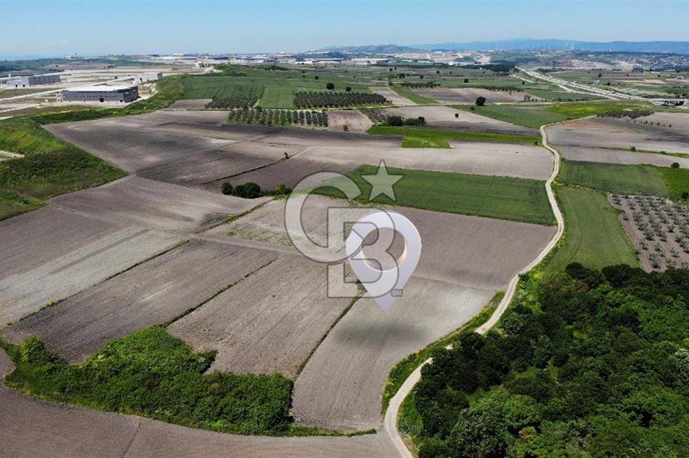 TEKNOSAB ve TOSAB'a Komşu! Badırga'da 2.875 m² Fırsat Tarla