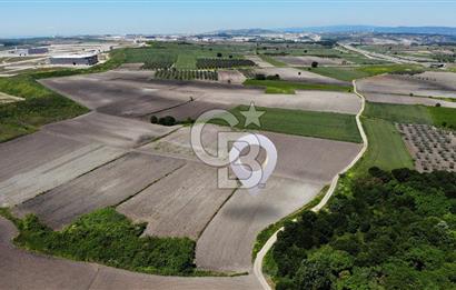 TEKNOSAB ve TOSAB'a Komşu! Badırga'da 2.875 m² Fırsat Tarla