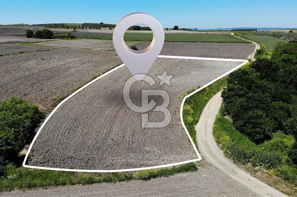 TEKNOSAB ve TOSAB'a Komşu! Badırga'da 2.875 m² Fırsat Tarla