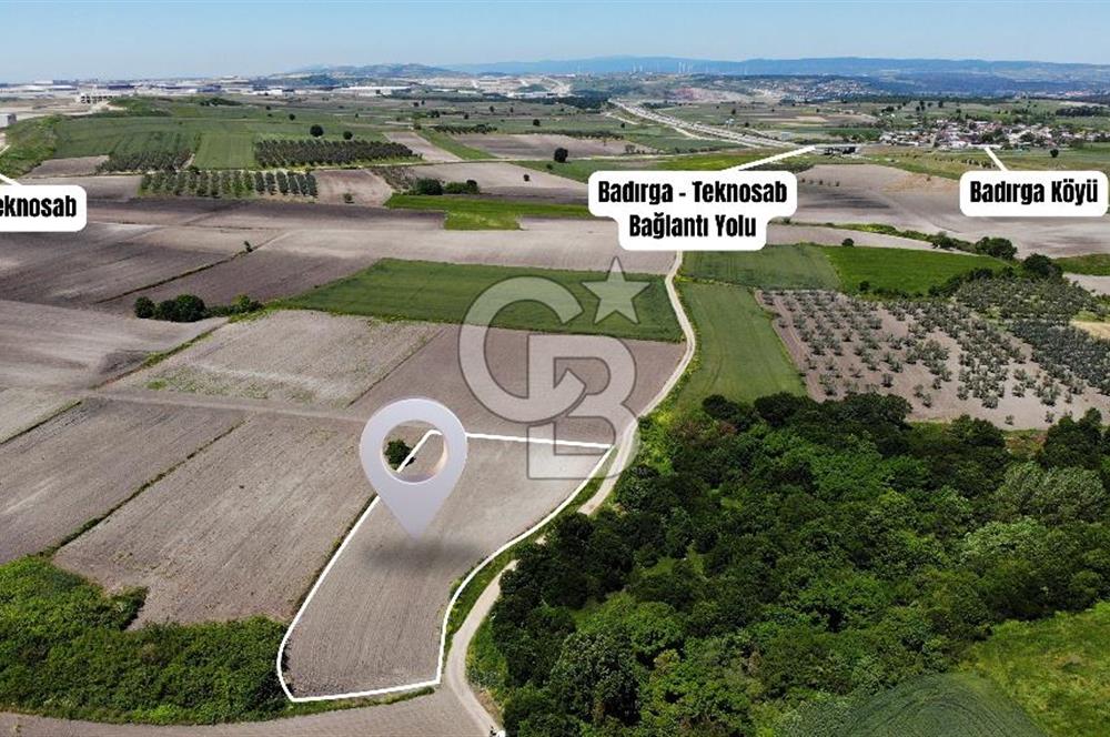 TEKNOSAB ve TOSAB'a Komşu! Badırga'da 2.875 m² Fırsat Tarla