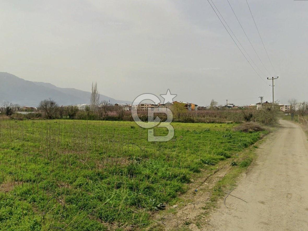 GÜRSU’DA İMARA 200 METRE MESAFEDE SATILIK FIRSAT TARLA