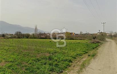 GÜRSU’DA İMARA 200 METRE MESAFEDE SATILIK FIRSAT TARLA