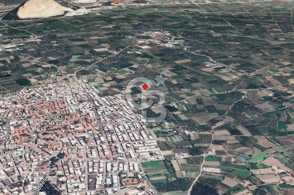 GÜRSU’DA İMARA 200 METRE MESAFEDE SATILIK FIRSAT TARLA