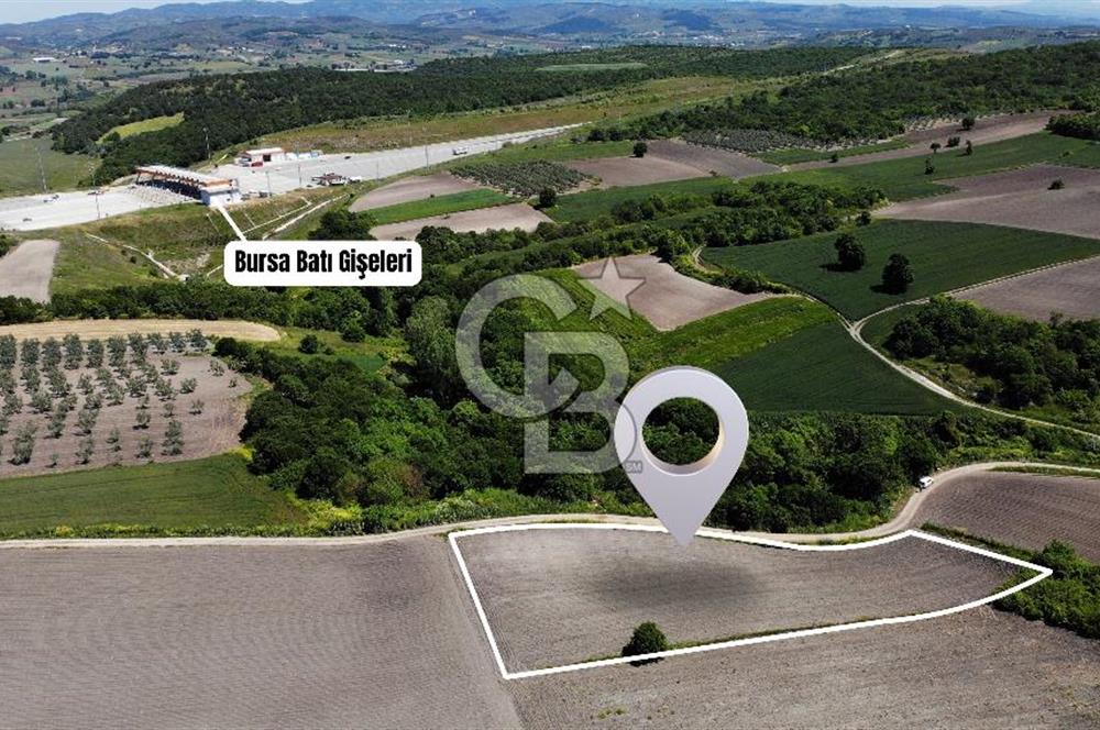 TEKNOSAB ve TOSAB'a Komşu! Badırga'da 2.875 m² Fırsat Tarla