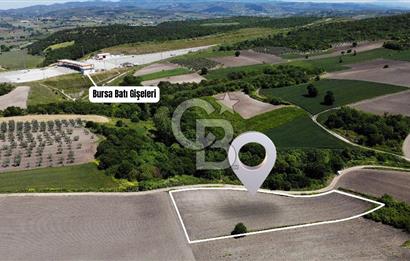 TEKNOSAB ve TOSAB'a Komşu! Badırga'da 2.875 m² Fırsat Tarla