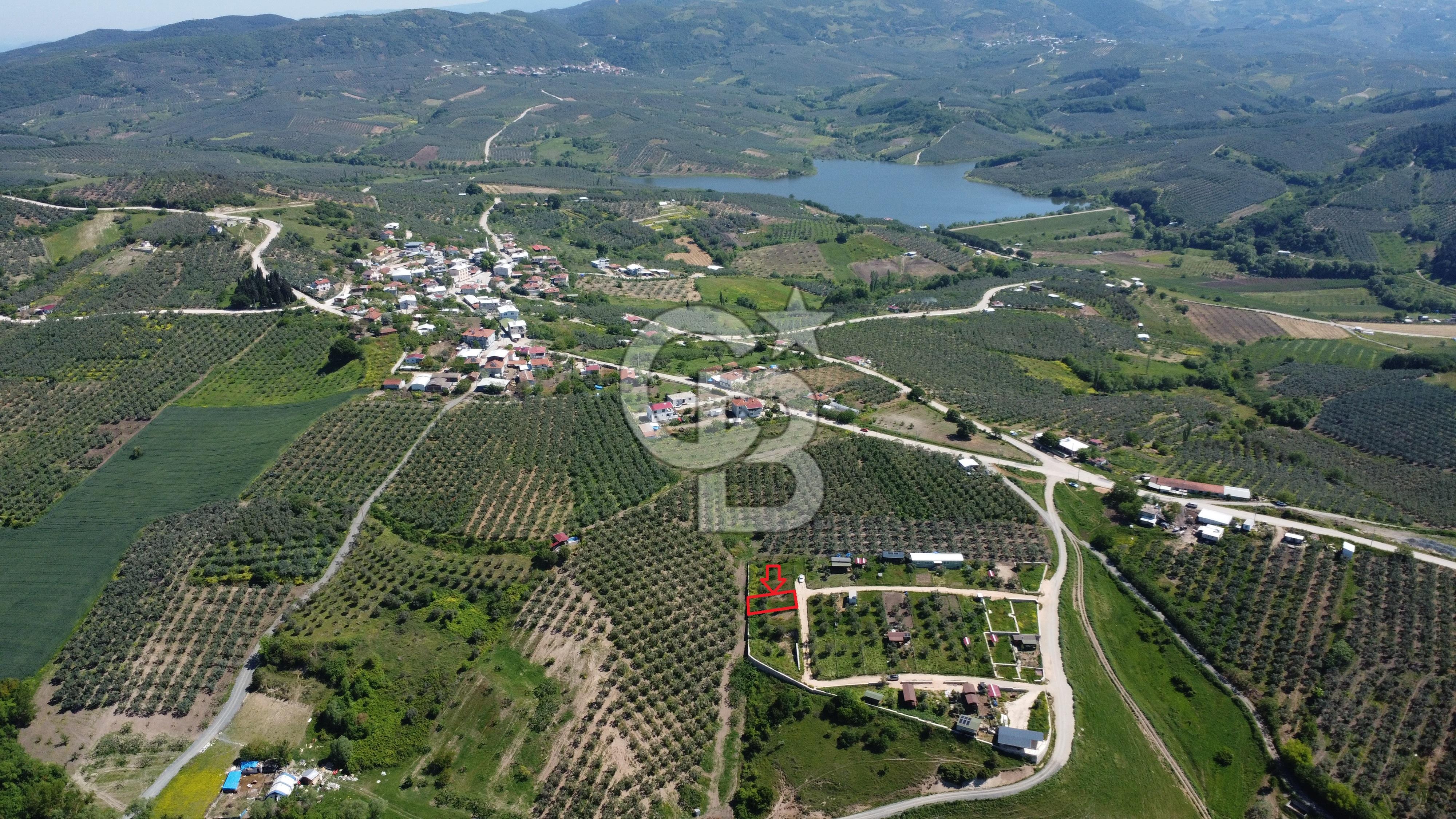 MUDANYA ÇINARLI’DA DOĞA İÇİNDE SATILIK HOBİ BAHÇESİ