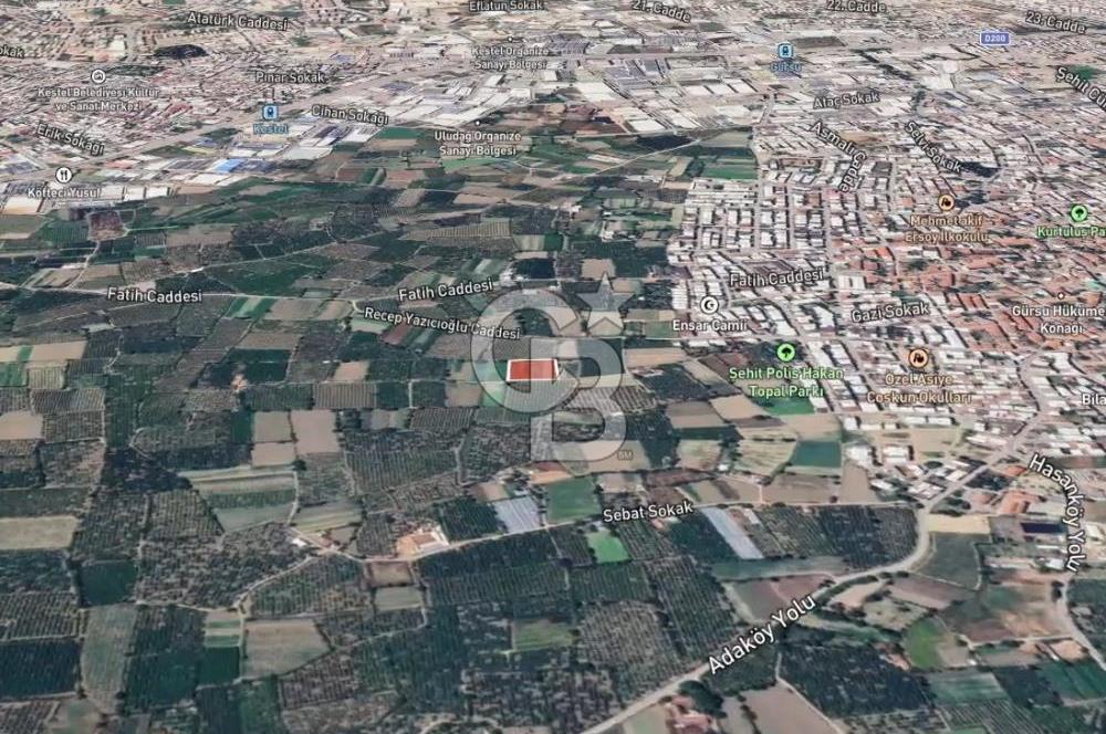 GÜRSU’DA İMARA 200 METRE MESAFEDE SATILIK FIRSAT TARLA