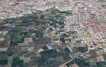 GÜRSU’DA İMARA 200 METRE MESAFEDE SATILIK FIRSAT TARLA