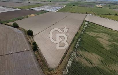 MENEMEN GÜNERLİ DE YOLA CEPHE TEK TAPU DEPO YAPIMINA UYGUN ARAZİ 