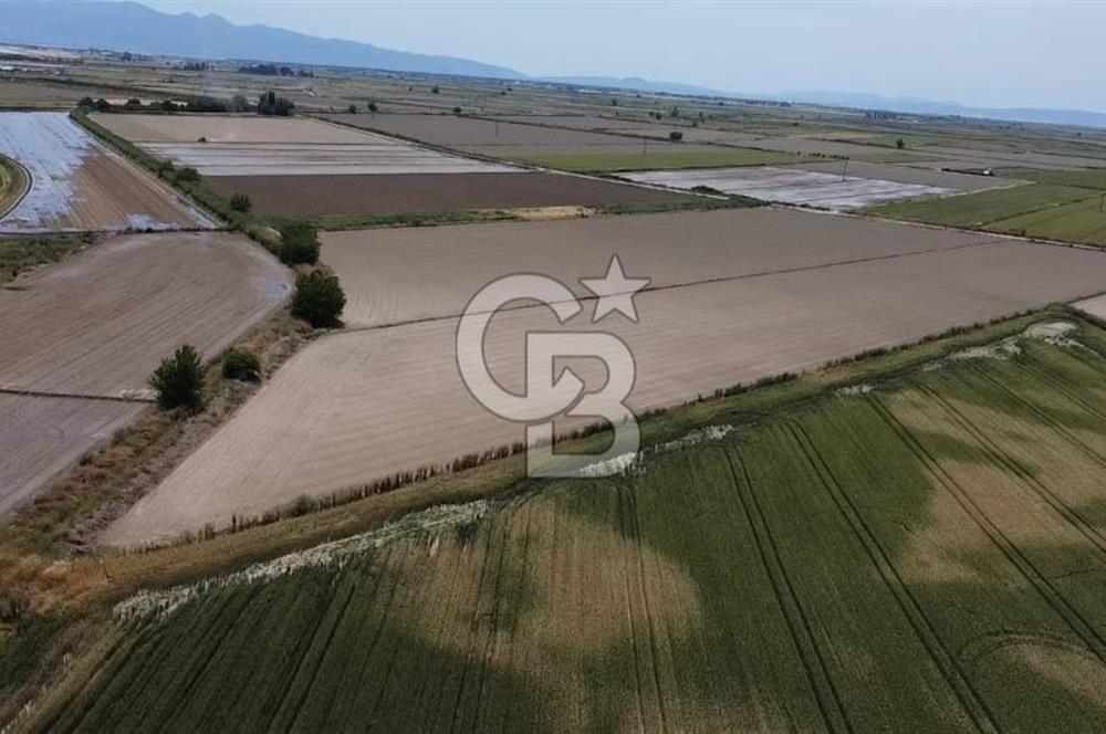 MENEMEN GÜNERLİ DE YOLA CEPHE TEK TAPU DEPO YAPIMINA UYGUN ARAZİ 