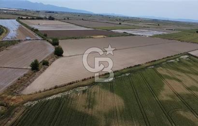 MENEMEN GÜNERLİ DE YOLA CEPHE TEK TAPU DEPO YAPIMINA UYGUN ARAZİ 
