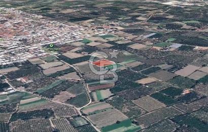 GÜRSU’DA İMARA 200 METRE MESAFEDE SATILIK FIRSAT TARLA