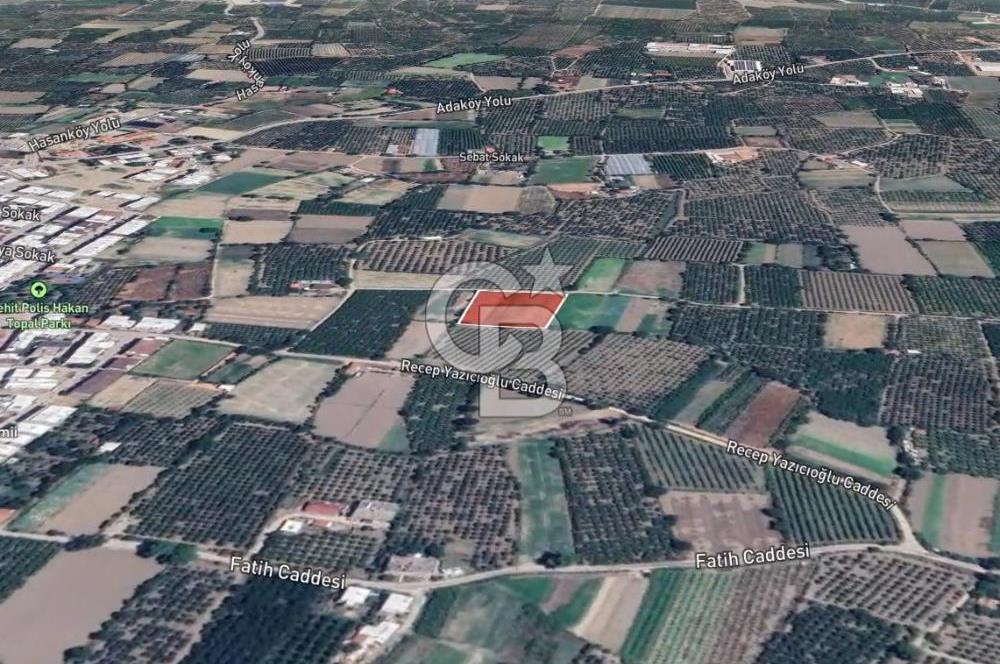 GÜRSU’DA İMARA 200 METRE MESAFEDE SATILIK FIRSAT TARLA