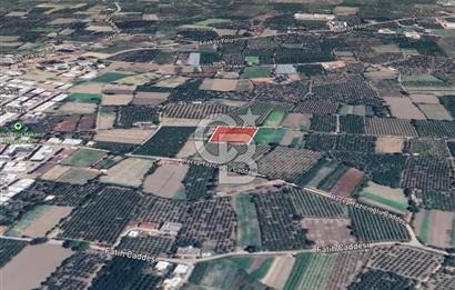 GÜRSU’DA İMARA 200 METRE MESAFEDE SATILIK FIRSAT TARLA