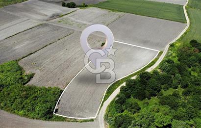 TEKNOSAB ve TOSAB'a Komşu! Badırga'da 2.875 m² Fırsat Tarla