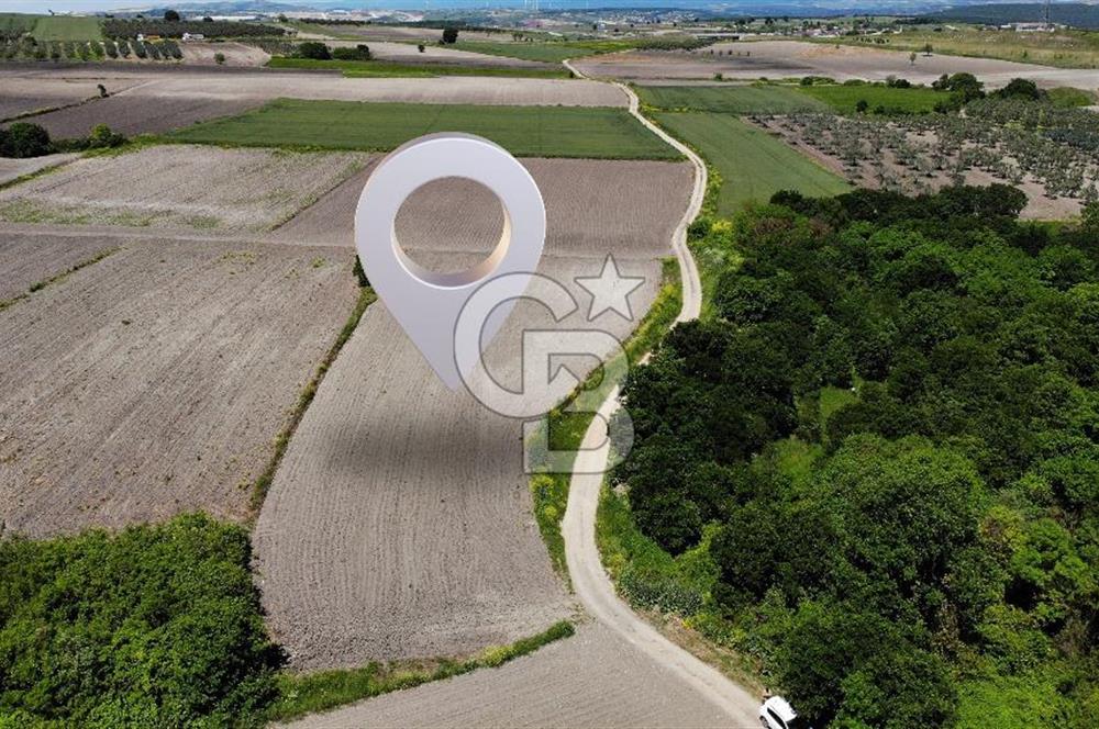 TEKNOSAB ve TOSAB'a Komşu! Badırga'da 2.875 m² Fırsat Tarla