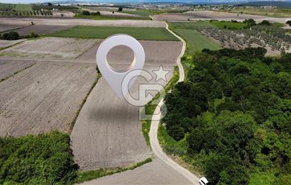 TEKNOSAB ve TOSAB'a Komşu! Badırga'da 2.875 m² Fırsat Tarla