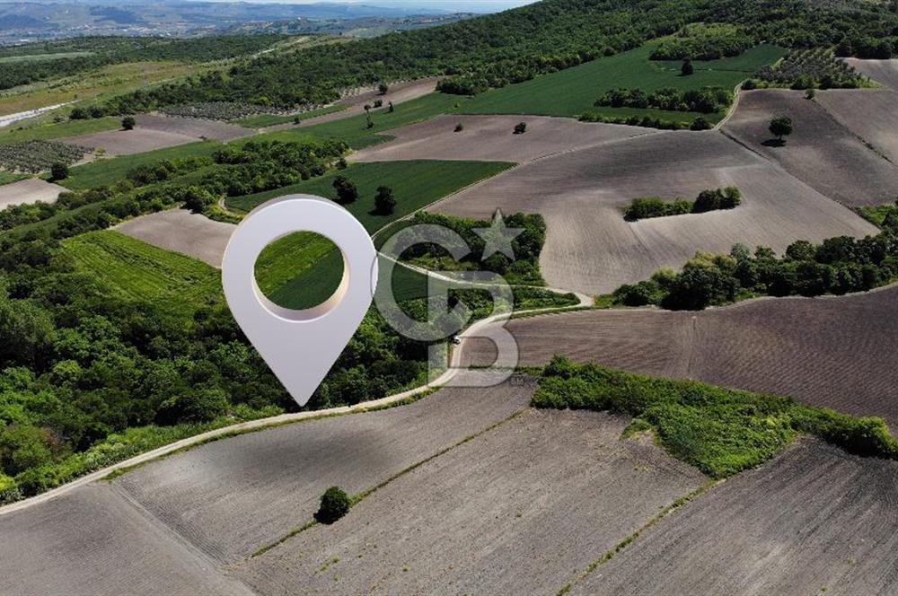 TEKNOSAB ve TOSAB'a Komşu! Badırga'da 2.875 m² Fırsat Tarla
