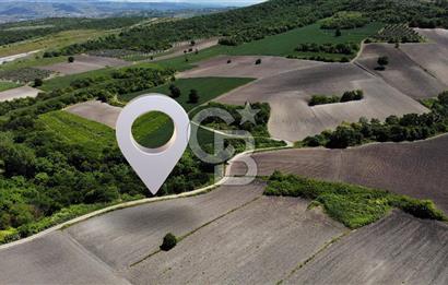TEKNOSAB ve TOSAB'a Komşu! Badırga'da 2.875 m² Fırsat Tarla