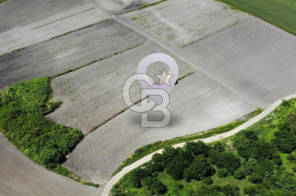 TEKNOSAB ve TOSAB'a Komşu! Badırga'da 2.875 m² Fırsat Tarla