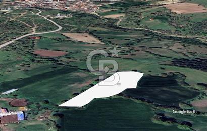 Balıkesir Karesi Kamçılı 'da Satılık Köye Yakın Tarla 4.488 m²