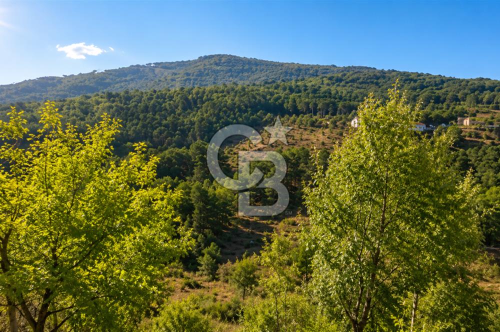 Kemalpaşa Kamberler Köyünde 4700m2 Satılık Tarla