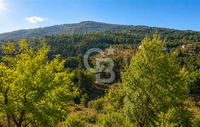 Kemalpaşa Kamberler Köyünde 4700m2 Satılık Tarla