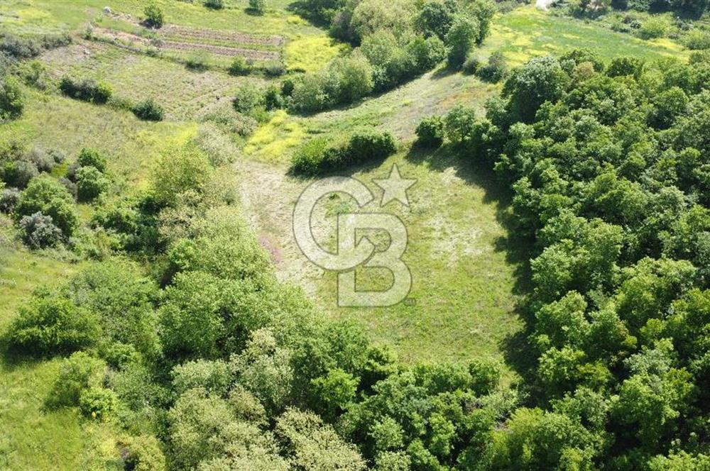 Balıkesir Susurluk Gökçedere Köyünde Satılık 2.550 m² Tarla