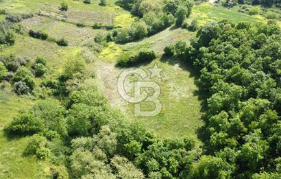 Balıkesir Susurluk Gökçedere Köyünde Satılık 2.550 m² Tarla