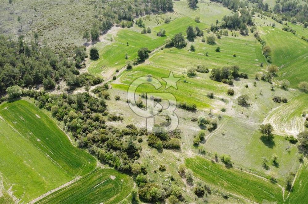 Balıkesir Dursunbey Alagüneyde Fırsat Satılık Tarla 1.957 m²