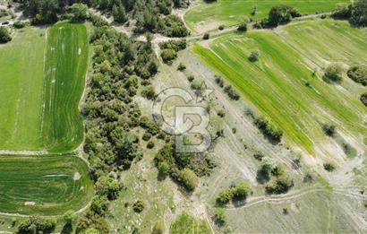 Balıkesir Dursunbey Alagüneyde Fırsat Satılık Tarla 1.957 m²