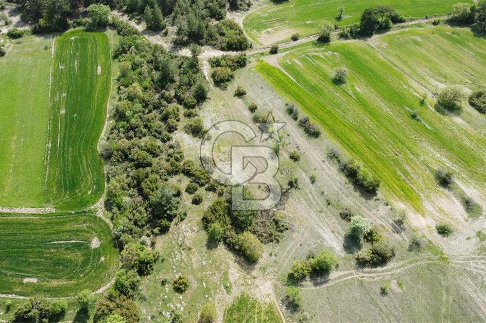 Balıkesir Dursunbey Alagüneyde Fırsat Satılık Tarla 1.957 m²