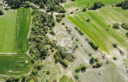Balıkesir Dursunbey Alagüneyde Fırsat Satılık Tarla 1.957 m²