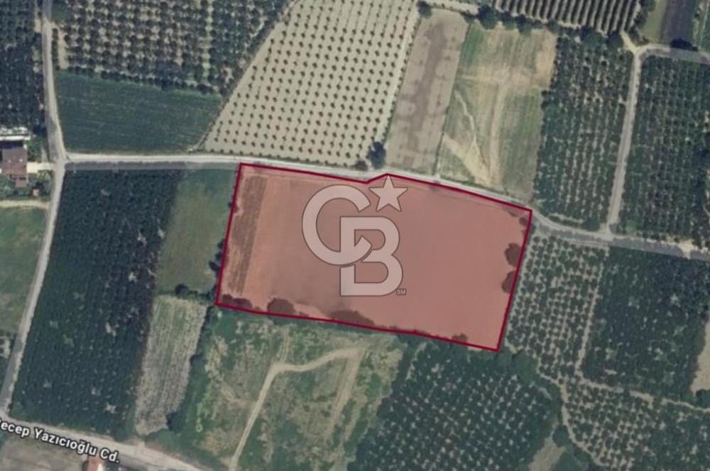 GÜRSU’DA İMARA 200 METRE MESAFEDE SATILIK FIRSAT TARLA