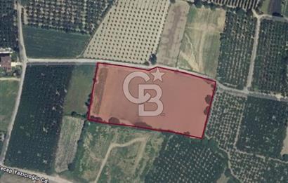 GÜRSU’DA İMARA 200 METRE MESAFEDE SATILIK FIRSAT TARLA