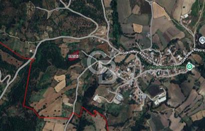 Balıkesir Susurluk Gökçedere Köyünde Satılık 2.550 m² Tarla