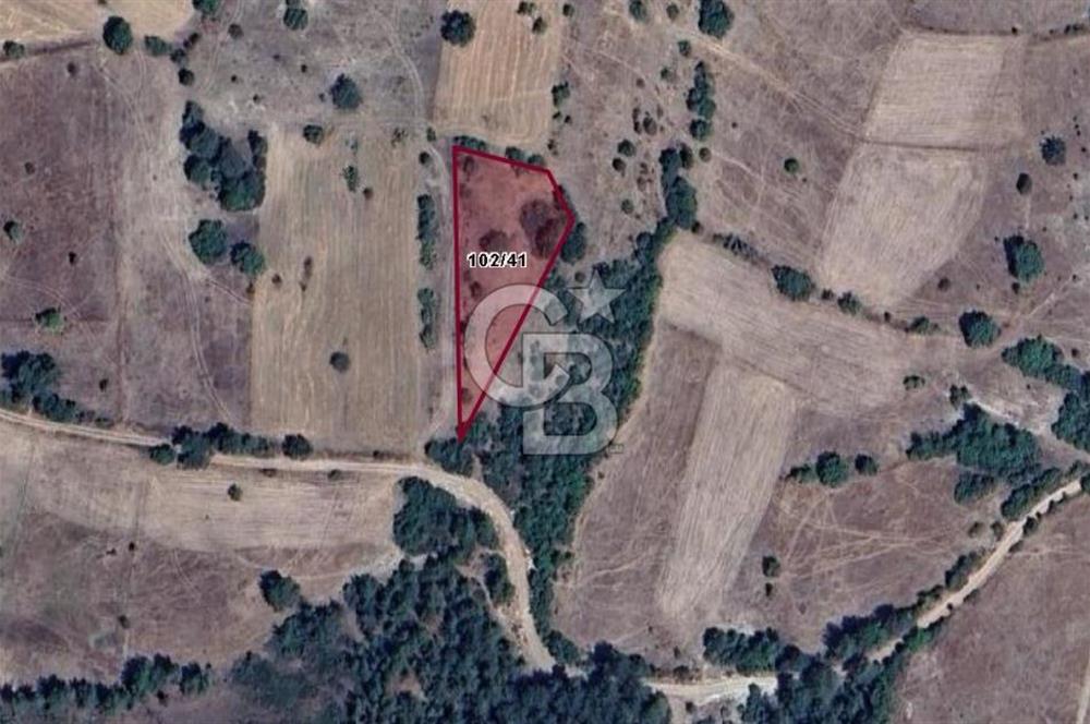 Balıkesir Dursunbey Alagüneyde Fırsat Satılık Tarla 1.957 m²