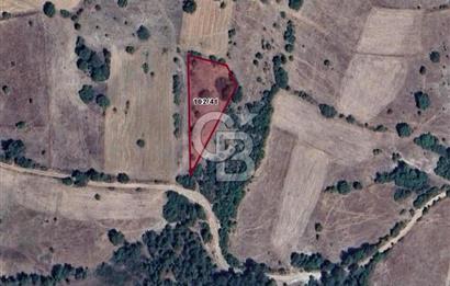 Balıkesir Dursunbey Alagüneyde Fırsat Satılık Tarla 1.957 m²