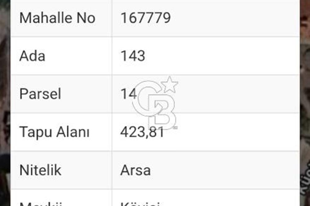 CB Leader'den Sındırgı Küçükbükü 'de köy içi imarlı arsa