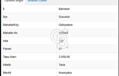 Balıkesir Susurluk Gökçedere Köyünde Satılık 2.550 m² Tarla