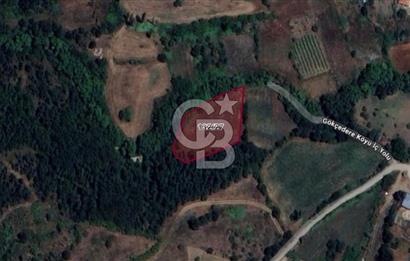Balıkesir Susurluk Gökçedere Köyünde Satılık 2.550 m² Tarla
