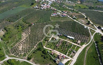 MUDANYA ÇINARLI’DA DOĞA İÇİNDE SATILIK HOBİ BAHÇESİ